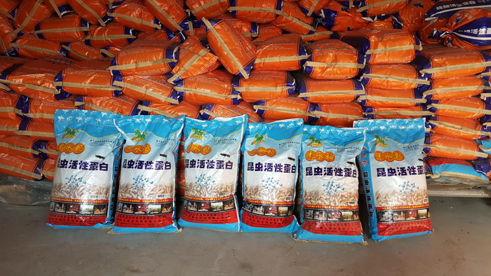 黑水虻饲料 引领可持续发展的绿色革命
